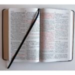 Biblia KJV Holy Bible León de Judá Negro – en inglés – imagen 5
