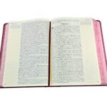Biblia RVR 1960 de Apuntes Tapa Dura, Vino Tinto (Edición Cantos Pintados) – imagen 3