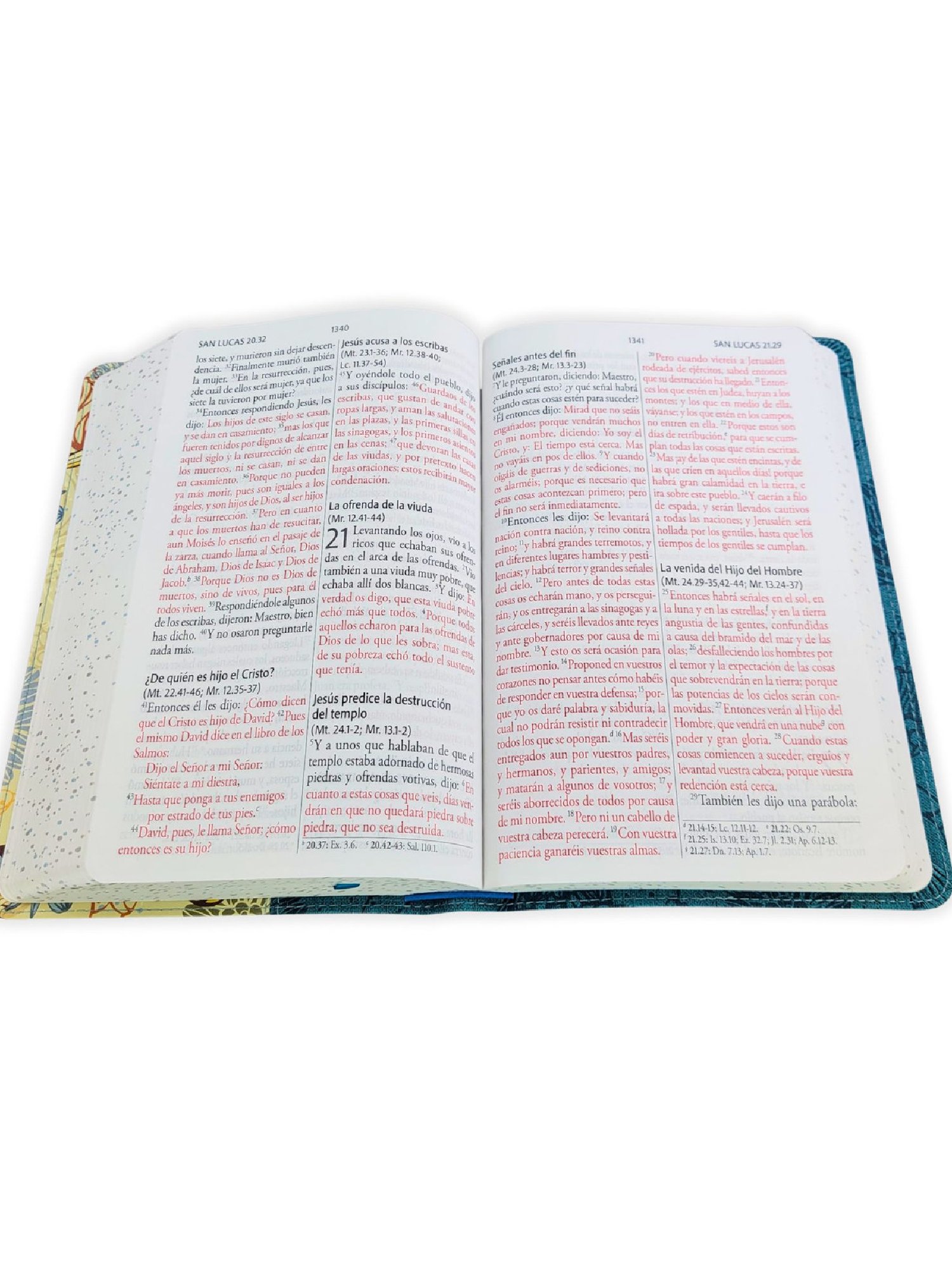 Biblia RVR60 Azul Con Pajaros/ Letra Gigante Imitacion Piel/ Canto Pintado 3 Biblia RVR60 Azul Con Pajaros/ Letra Gigante Imitacion Piel/ Canto Pintado - Image 3