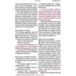 Biblia NTV Manual Letra Grande con Filament Símil Piel Azul Oscuro Índice Letra Roja – imagen 2