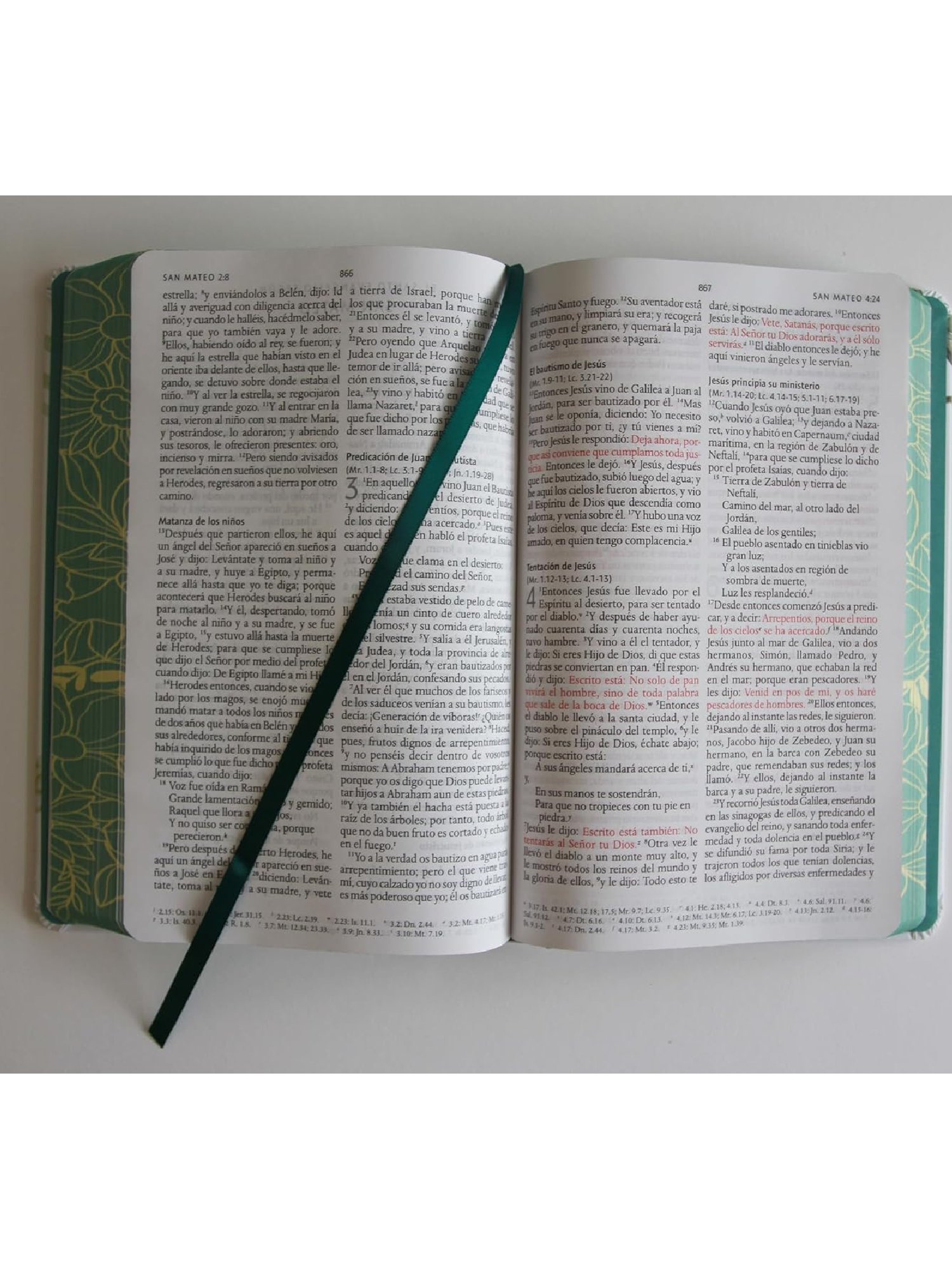 Biblia RVR60 Letra Grande Verde Flores Canto Pintado 4 Biblia RVR60 Letra Grande Verde Flores Canto Pintado - Image 4