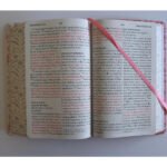 Biblia RVR60 Rosada Flores Letra Gigante/ Imitacion Piel/ Canto Pintado – imagen 3