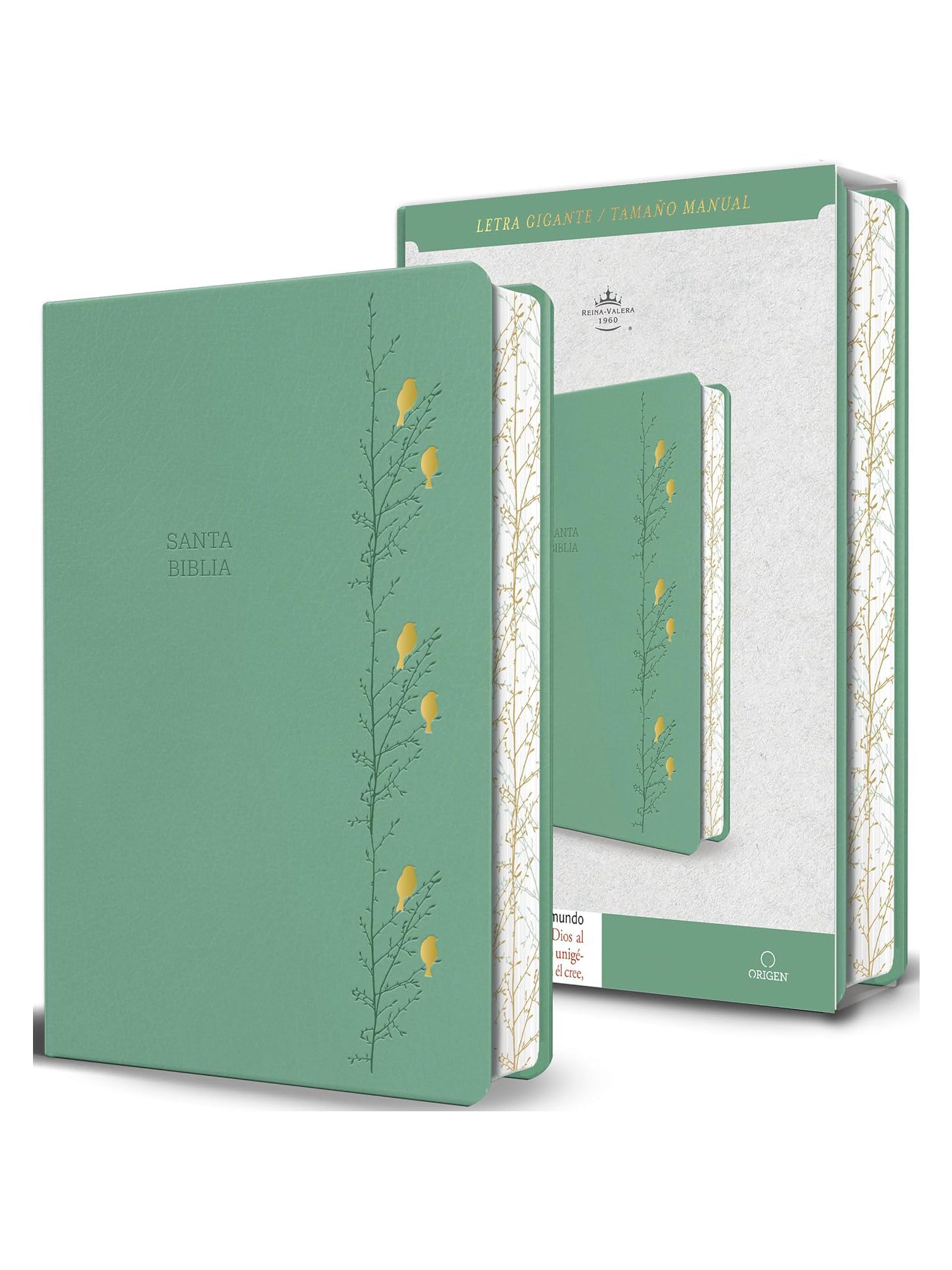 Biblia RVR60 Verde Pajaros Letra Gigante/ Imitacion Piel/ Cantos Pintado 1 Biblia RVR60 Verde Pajaros Letra Gigante Cantos Pintado