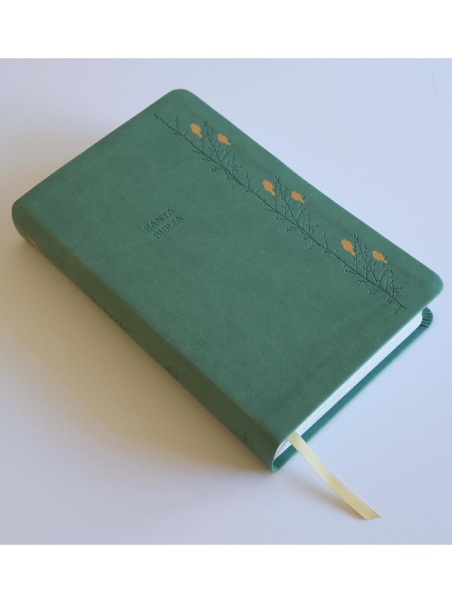 Biblia RVR60 Verde Pajaros Letra Gigante/ Imitacion Piel/ Cantos Pintado 2 Biblia RVR60 Verde Pajaros Letra Gigante/ Imitacion Piel/ Cantos Pintado - Image 2