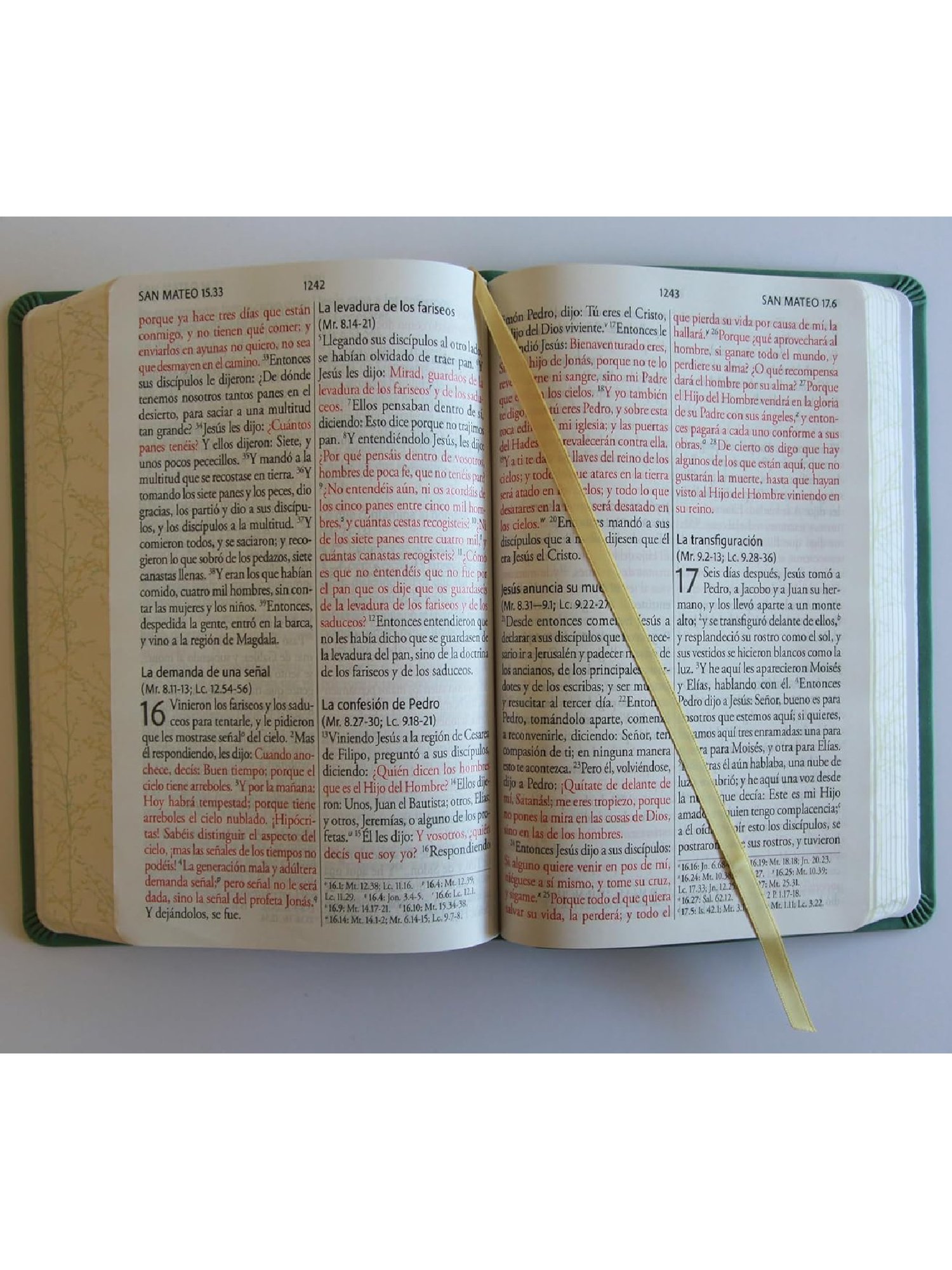 Biblia RVR60 Verde Pajaros Letra Gigante/ Imitacion Piel/ Cantos Pintado 3 Biblia RVR60 Verde Pajaros Letra Gigante/ Imitacion Piel/ Cantos Pintado - Image 3