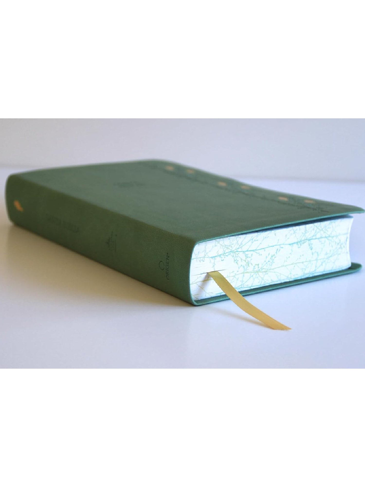 Biblia RVR60 Verde Pajaros Letra Gigante/ Imitacion Piel/ Cantos Pintado 4 Biblia RVR60 Verde Pajaros Letra Gigante/ Imitacion Piel/ Cantos Pintado - Image 4
