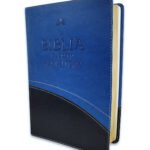 Biblia RVR60 Azul En Orden Cronológico
