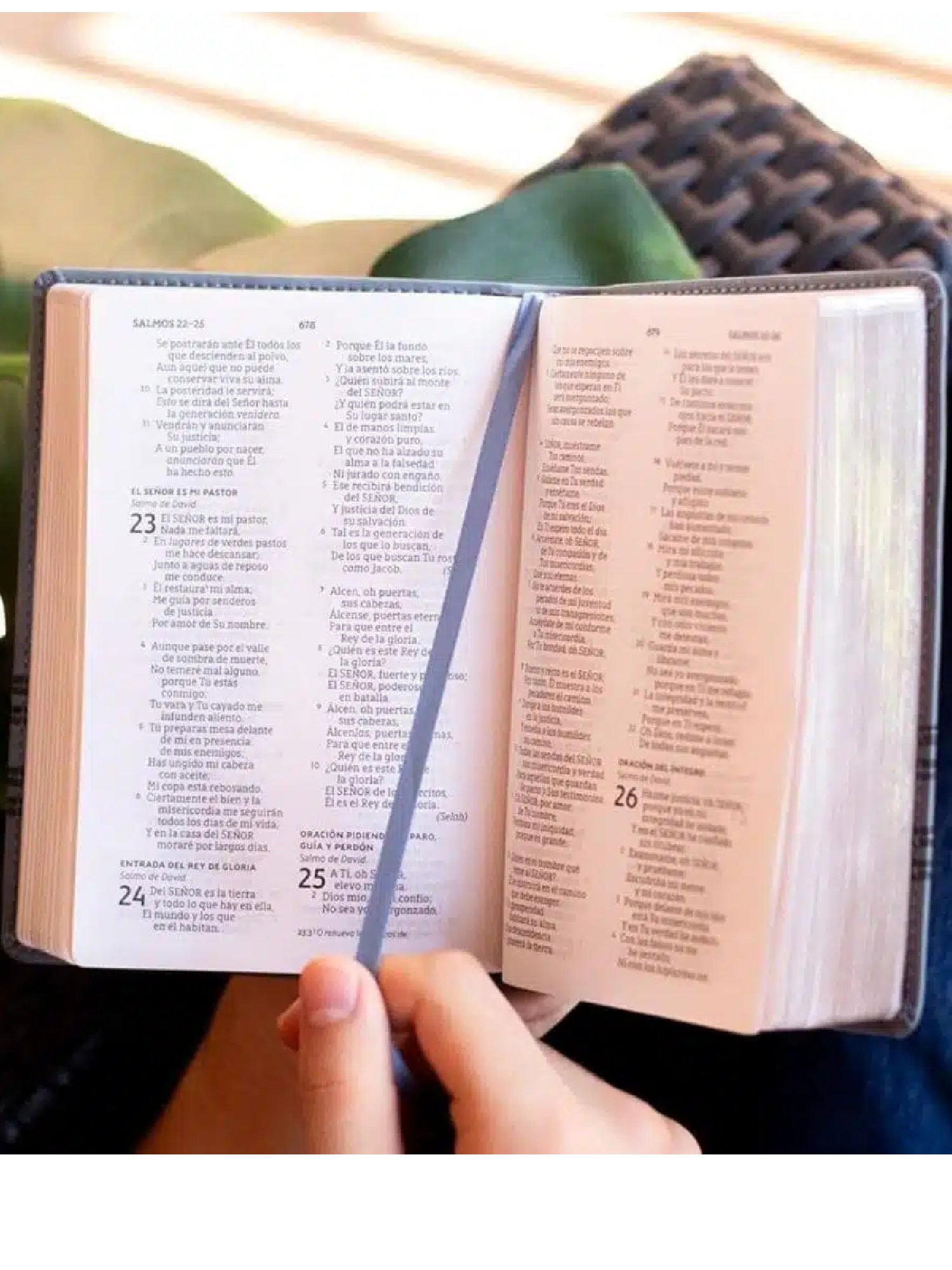 Biblia NBLA Gris Bolsillo 3 Biblia NBLA Gris Bolsillo - Image 3