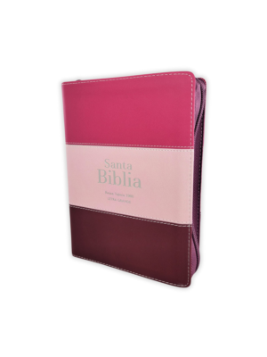 Biblia RVR 1960 Compacta Fucsia Rosado Rojo Granate