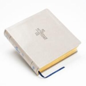 Biblia QR (NTV) Principios Para Vivir/Color Arena