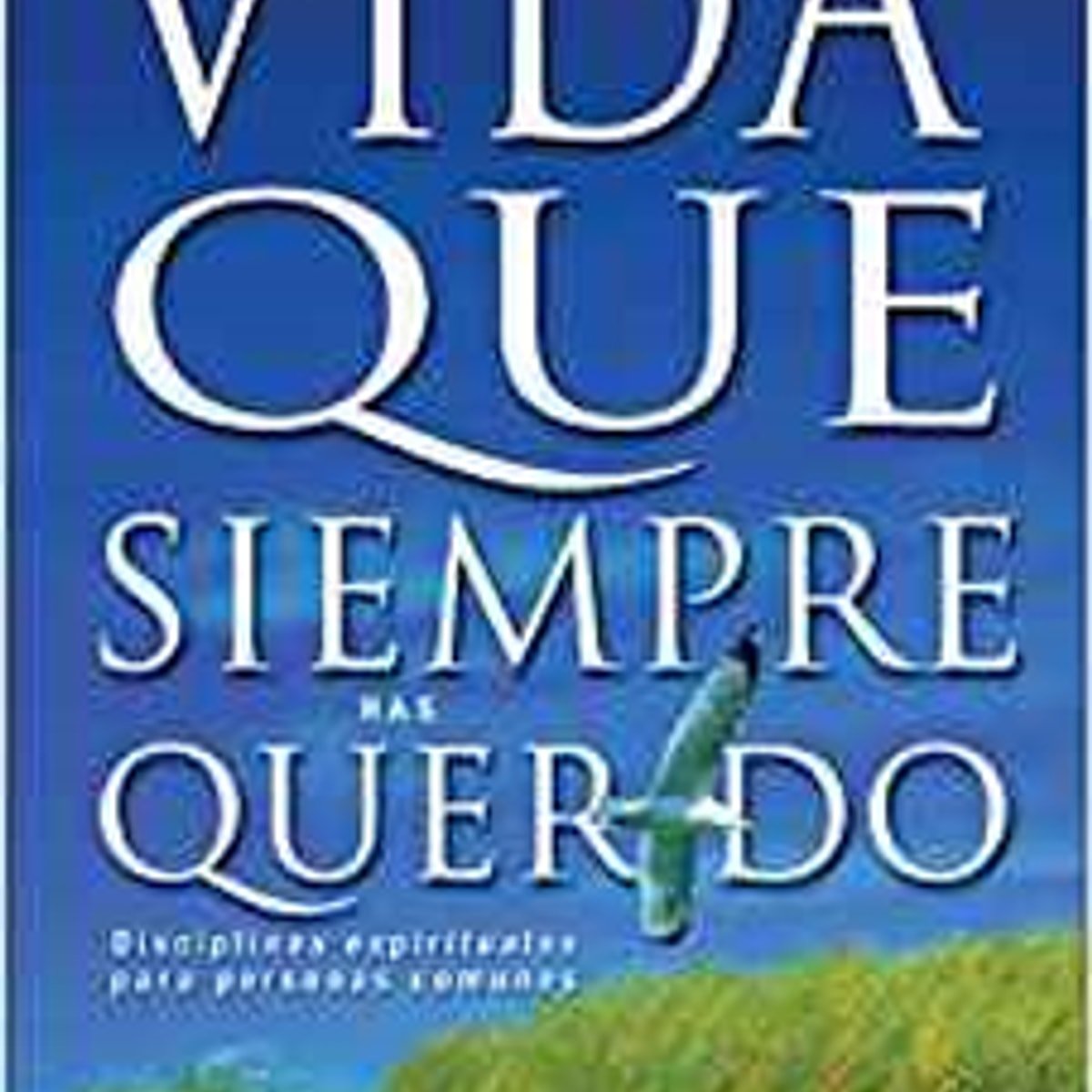 Libro La Vida Que Siempre Has Querido, John Ortberg 2 Libro La Vida Que Siempre Has Querido, John Ortberg - Image 2