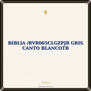 Biblia /RVR065cLGZPJR Gris Canto BlancoTB