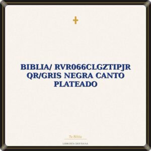 Biblia/ RVR066cLGZTIPJR QR/Gris Negra Canto Plateado