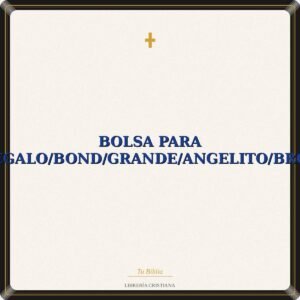 Bolsa Para Regalo/Bond/Grande/Angelito/BRCG