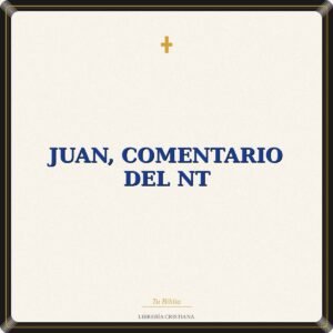Juan, Comentario Del Nt