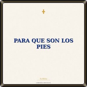 Para Que Son Los Pies