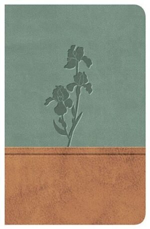 Biblia/RVR77/Clasica/Edicion Especial/Piel/Pardo-Menta