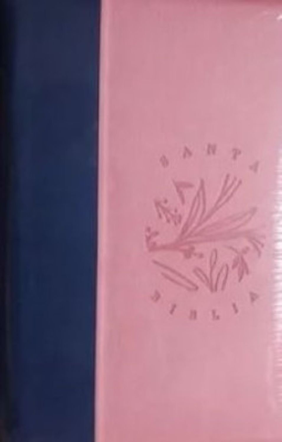 Bilbia/RVR066ZLG/Rosado Azul / Cierre Canto Pintado 1 Bilbia/RVR066ZLG/Rosado Azul / Cierre Canto Pintado
