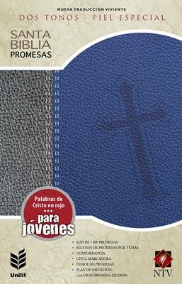 NTV Biblia de Promesas Juvenil Gris-Azul