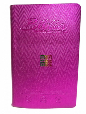 Biblia/RVC065/Morado/Canto Plateado/Encuentro Con Dios