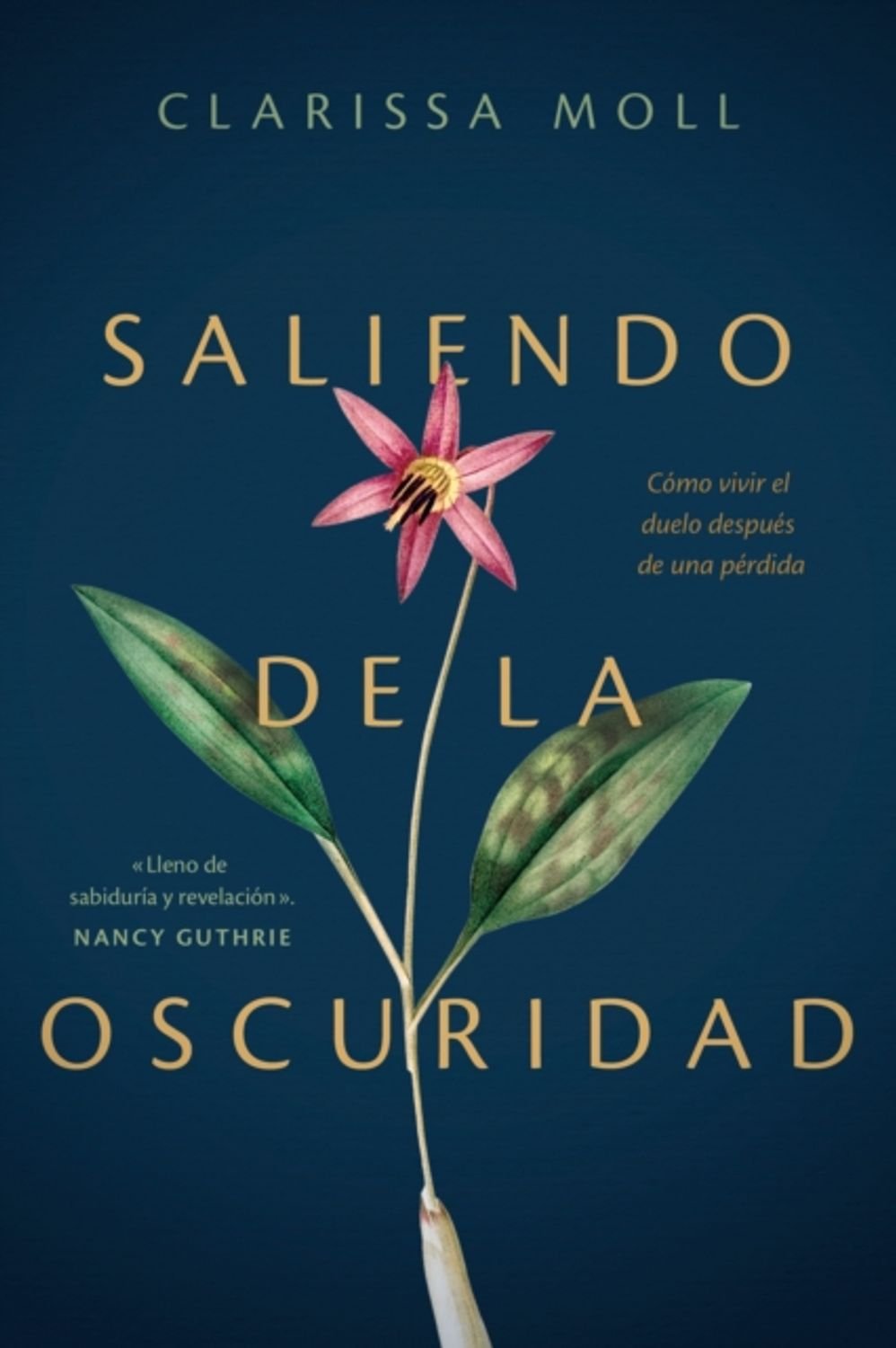 Libro Saliendo de la oscuridad: Cómo vivir el duelo después de una pérdida - Clarissa Moll 1 Libro Saliendo de la oscuridad: Cómo vivir el duelo después de una pérdida – Clarissa Moll