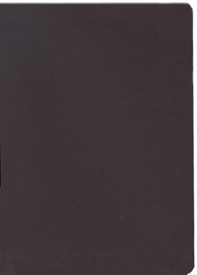 NVI Biblia De La Vida Diaria Joyce Meyer