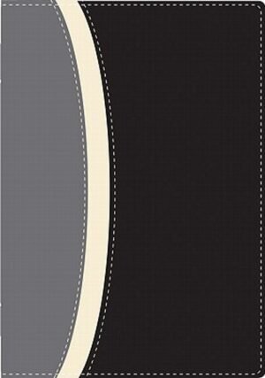 Biblia De Estudio/RVR/Serie 50/Negro-Gris