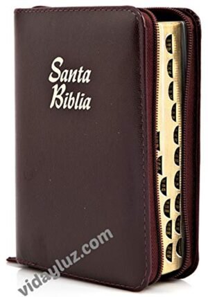 Biblia/RVR025cZTILGa/Vinotinto/Cierre/Indice