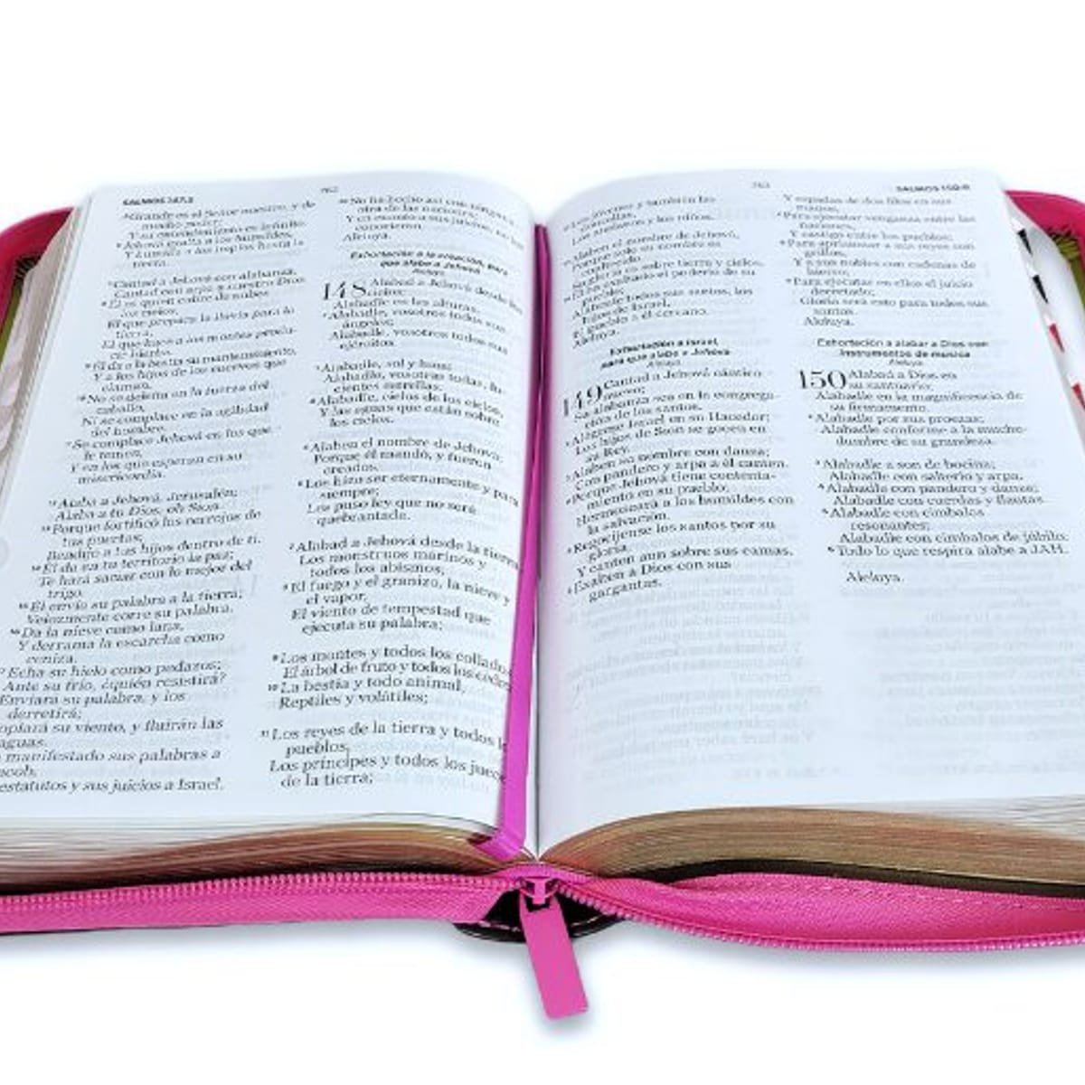 Biblia RVR 1960 Letra Grande Tamaño Manual Neoclassic Verde lima Símil Piel 1 Biblia RVR 1960 Letra Grande Tamaño Manual Neoclassic Verde lima Símil Piel