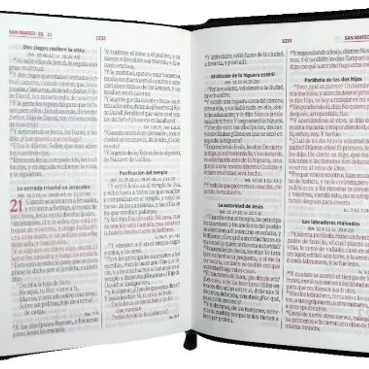 Biblia RVR 1960 de Promesas Letra Grande Negra Símil Piel con Índice 1 Biblia RVR 1960 de Promesas Letra Grande Negra Símil Piel con Índice