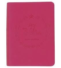 Santa Biblia Fucsia – Nvi