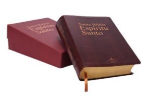 Biblia del espiritu santo Vino Tinto