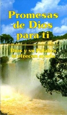Promesas de Dios para Ti/ Bolsilibro