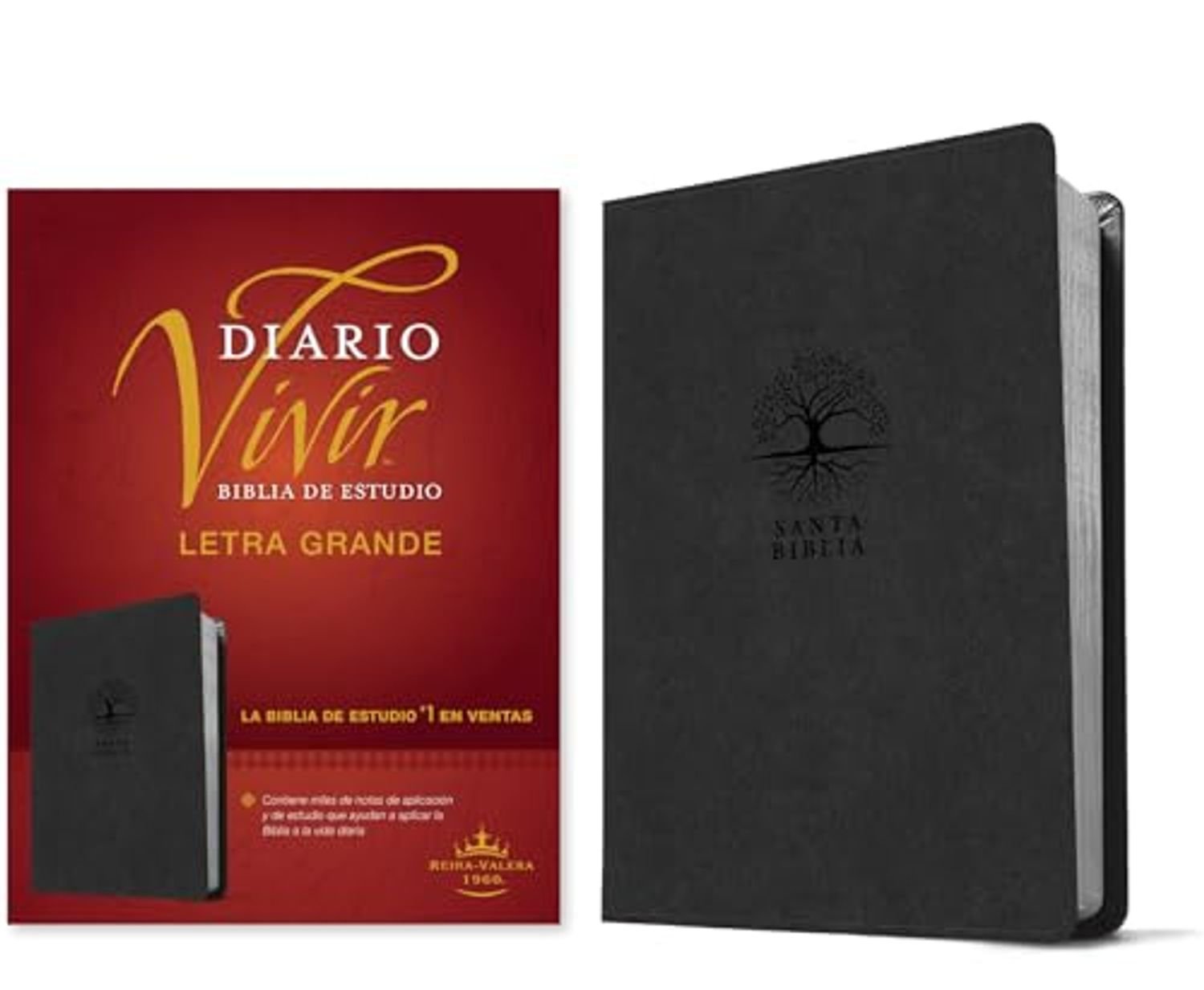 Biblia De Estudio Diario Vivir RVR60/ Letra Grande/ Negro Sentipiel 1 Biblia De Estudio Diario Vivir RVR60/ Letra Grande/ Negro Sentipiel