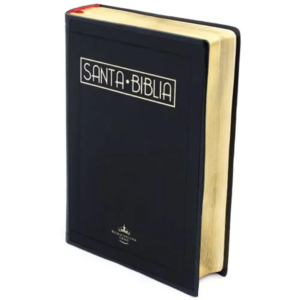 Biblia/ RVR052cLGPJR Vinilo Negra Canto Dorado