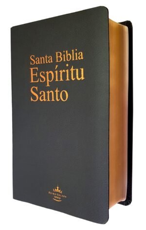 Biblia Espíritu Santo Negro Imitación Piel