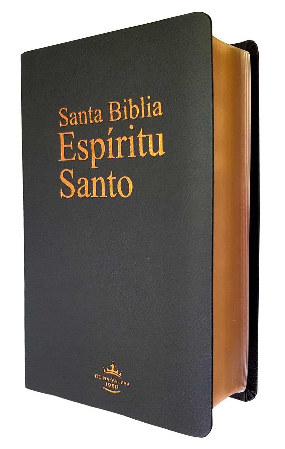 Biblia Espíritu Santo Negro Imitación Piel 1 Biblia Espíritu Santo Negro Imitación Piel