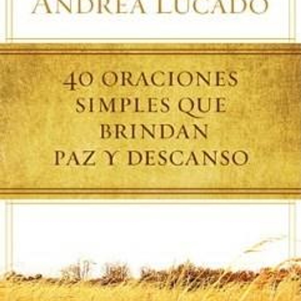 40 Oraciones Sencillas Que Traen Paz 1 40 Oraciones Sencillas Que Traen Paz