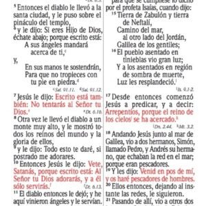 Biblia De Promesas/RVR/Letra Grande/Edicion Mujer/Piel/Indice