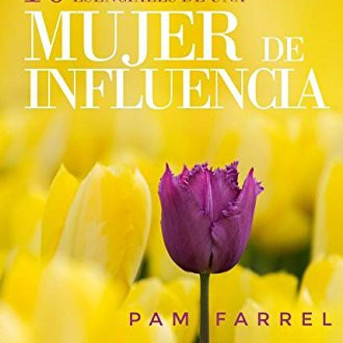 Mujer De Influencia/10 Caracteristicas esenciales 1 Mujer De Influencia/10 Caracteristicas esenciales