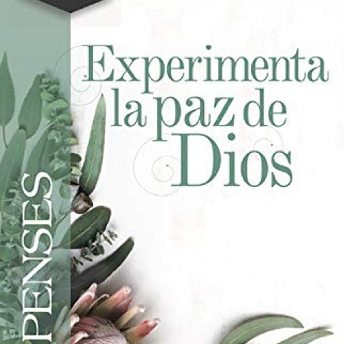 Filipenses/ Experimenta La Paz De Dios 1 Filipenses/ Experimenta La Paz De Dios