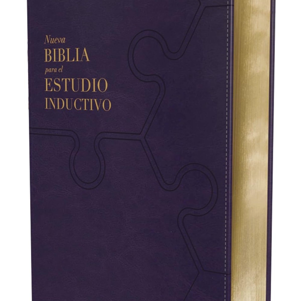Biblia de Estudio Inductivo 1 Biblia de Estudio Inductivo