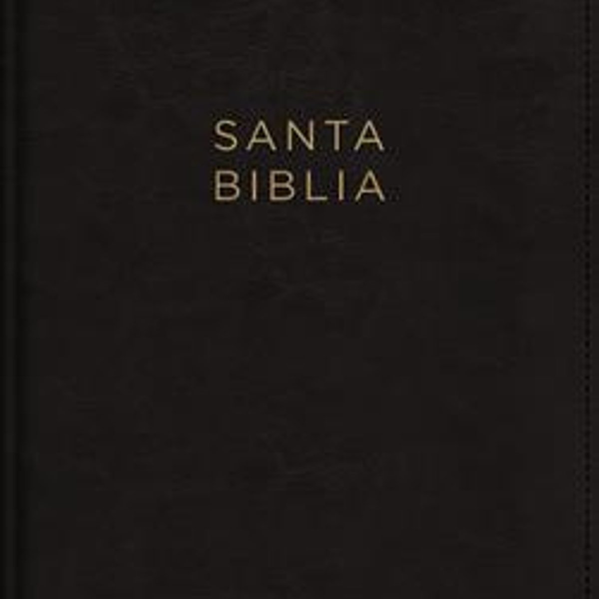 Biblia NBLA Ultrafina Negro Cierre Imitacion 1 Biblia NBLA Ultrafina Negro Cierre Imitacion
