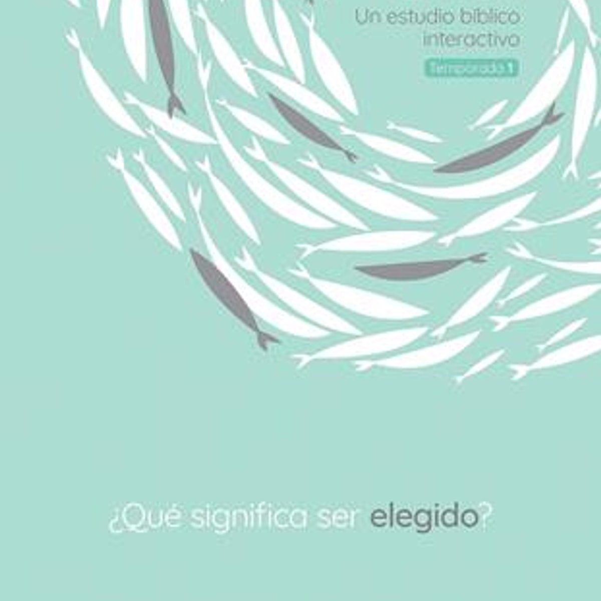 Que SignificaElegido/ Chosen 1 Que SignificaElegido/ Chosen