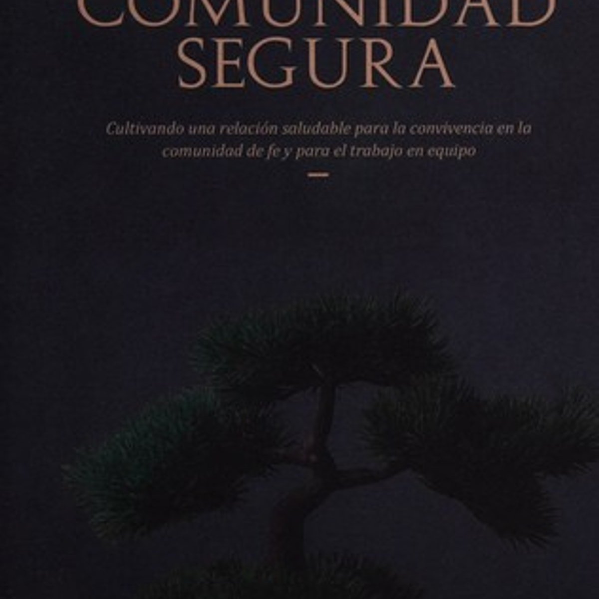 Comunidad Segura 1 Comunidad Segura