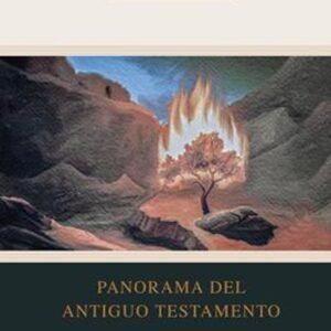 Panorama Del Antiguo Testamento/ Fundamentos