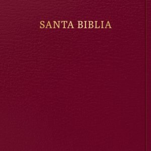 Biblia RVR 1960 Letra Grande Tamaño Manual Fucsia Símil Piel