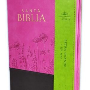 Biblia/RVR/Letra Grande/Manual/Referencias/mitacion/Borravino-Rosado