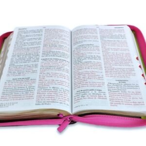 Biblia/RVR/Letra Grande/Manual/Vinilo/CLC/Vino/Imitacion Piel/Edicion