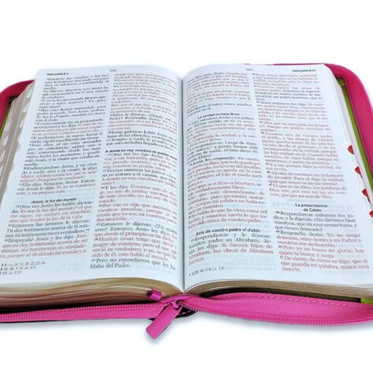 Biblia/RVR/Letra Grande/Manual/Vinilo/CLC/Vino/Imitacion Piel/Edicion 1 Biblia/RVR/Letra Grande/Manual/Vinilo/CLC/Vino/Imitacion Piel/Edicion